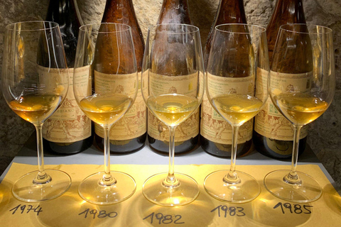 Wine Tasting with Local Bites in Pisa