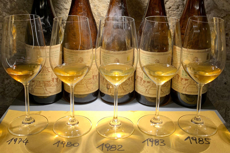 Wine Tasting with Local Bites in Pisa