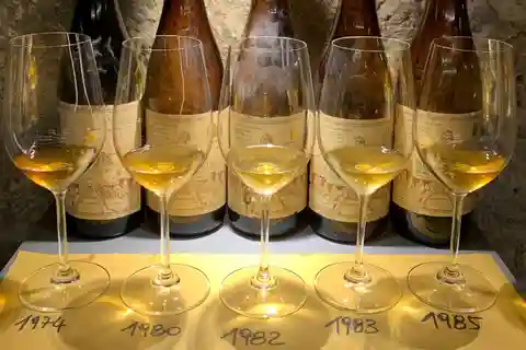 Wine Tasting with Local Bites in Pisa near the Tower