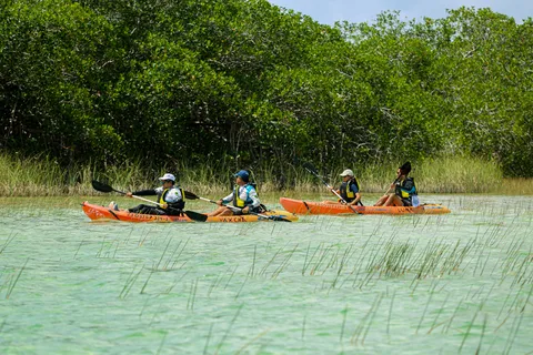 Tulum: Sian Ka'an Biosphärenreservat Kajak Tour
