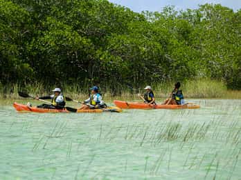 Tulum: Kajakkpadling i biosfærereservatet Sian Ka'an