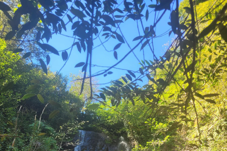 Batumi: Private Ajarian Mountains Tour with Waterfalls