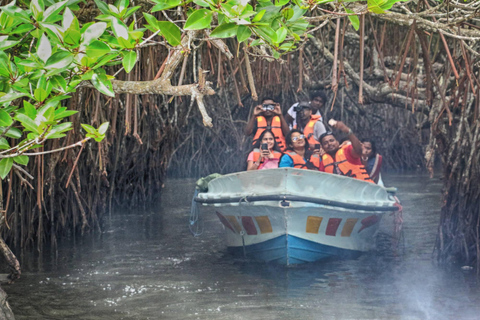 Galle Sea Turtle Visit &amp; Boat Safari from hambantota port