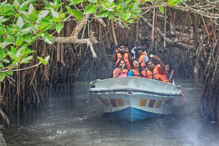 Galle Sea Turtle Visit & Boat Safari from hambantota port