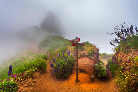 Pico Areeiro to Pico Ruivo: guided hiking tour