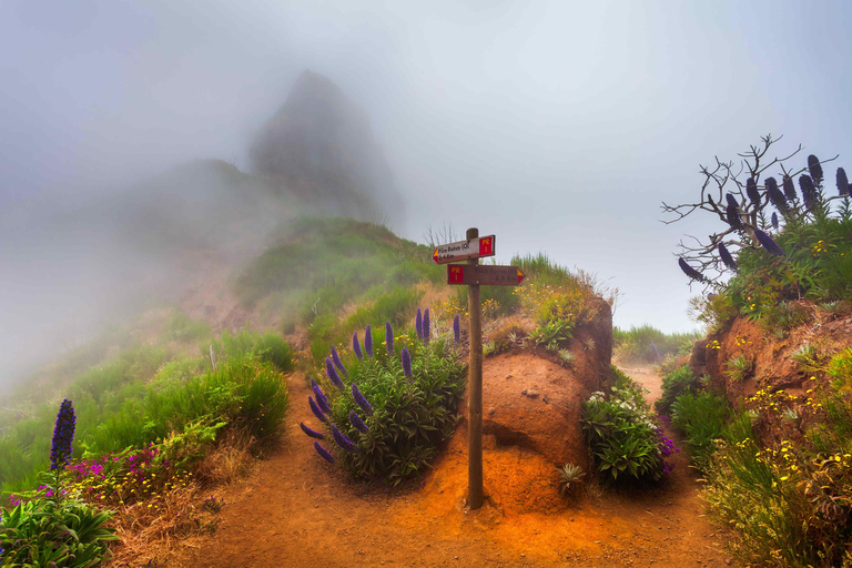 Pico Areeiro to Pico Ruivo: guided hiking tour