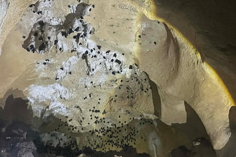 From Boracay: Pangihan Cave, ATV, and Zipline Adventure