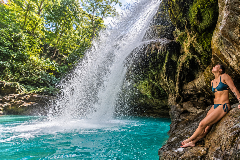 Cebu: Swim with Gentle Giants, Twin Falls & Sardine Run