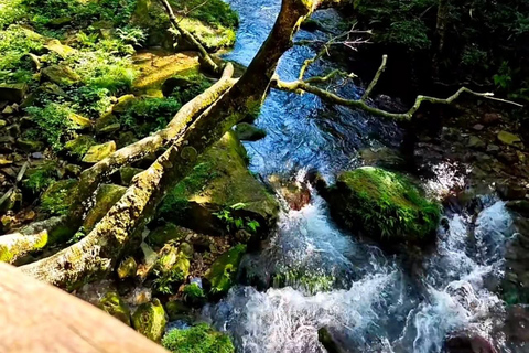 Zhangjiajie Express Day Trip: Avatar, Tianmen & Furong Town