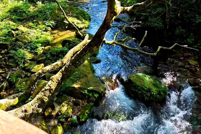 Zhangjiajie Express Day Trip: Avatar, Tianmen & Furong Town