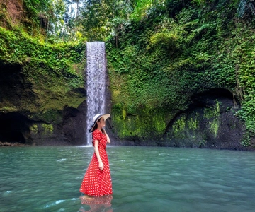 Ubud: Waterfalls, Temple, Unesco Rice Terrace Private Tour