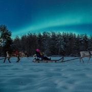 Rovaniemi : Promenade nocturne en traîneau à rennes Apukka