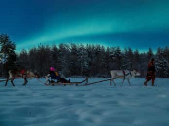 Apukka night sleigh ride