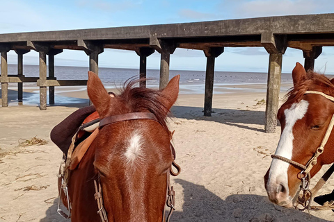 Colonia del Sacramento: Countryside Horseback Riding Tour
