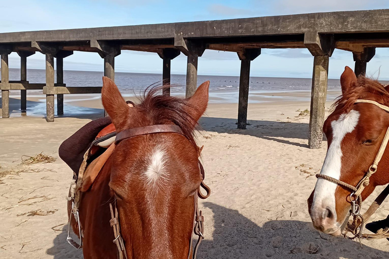 Colonia del Sacramento: Countryside Horseback Riding Tour