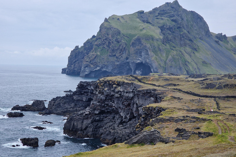 Westman Islands World´s Largest Puffin Colony & Volcano Tour