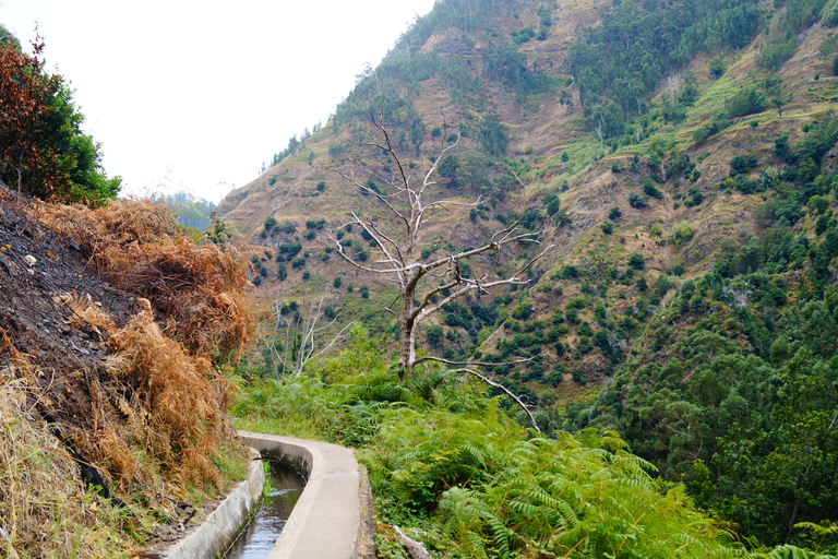 From Funchal: Levada Nova Hiking Tour with stopover at beach Nova friday