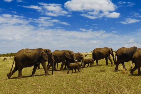 Safari di 8 giorni e fuga a Zanzibar