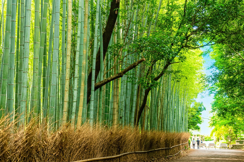 Osaka: Nara, Kyoto, and Arashiyama Day Trip with Train Ride Small Group (1–13 People, Meeting Point Pickup)