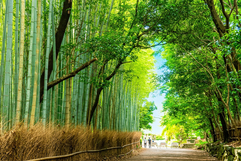 Osaka: Nara, Kyoto, and Arashiyama Day Trip with Train Ride Small Group (1–13 People, Meeting Point Pickup)