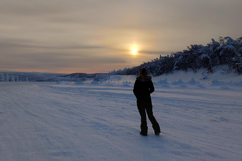 Visite d&#039;une jounée du cercle arctique