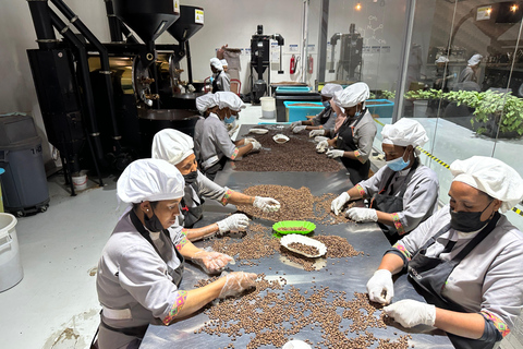 Kaffee-Verkostungstour in Addis Abeba