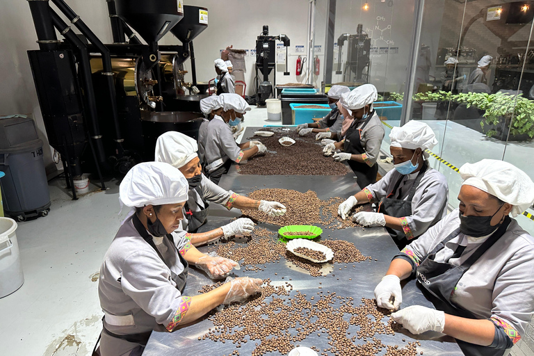 Kaffee-Verkostungstour in Addis Abeba