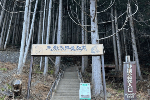 From Tokyo: Nagano Private Day Trip with Zenko-ji Temple