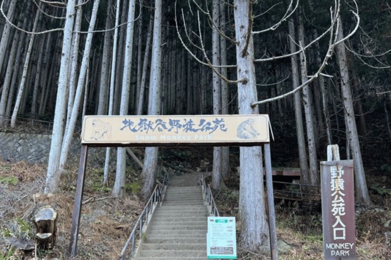 From Tokyo: Nagano Private Day Trip with Zenko-ji Temple