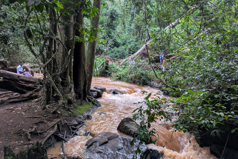 Karura Forest walking tour with nature and waterfalls.