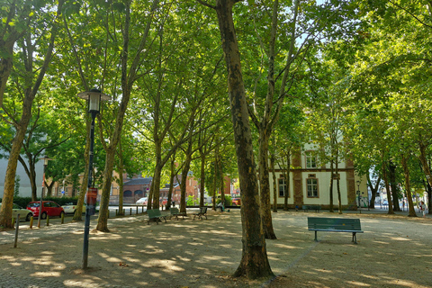 Sarrebruck : visite culinaire végétarienne de la villeSarrebruck : Veggie Love &amp; City Tour