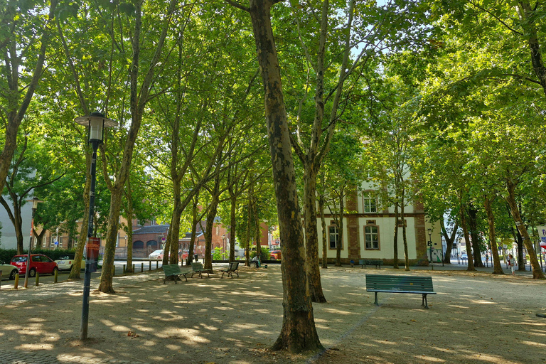 Sarrebruck : visite culinaire végétarienne de la villeSarrebruck : Veggie Love &amp; City Tour