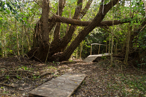 Montevideo: escursione alla zona umida di La Macarena con pranzoEscursione di un giorno alla zona umida della Macarena con pranzo e trasferimento