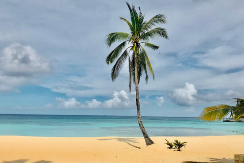 Isla Saona: Punta Cana All-inclusive