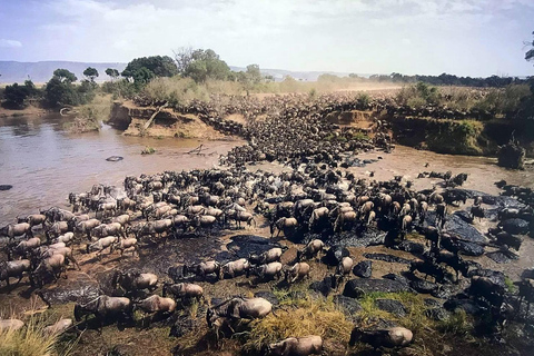 Arusha : Safari de 4 jours dans le Serengeti et le cratère du Ngorongoro