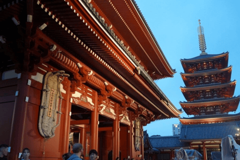 Tokyo Full Day Private Sightseeing Tour with English Guide