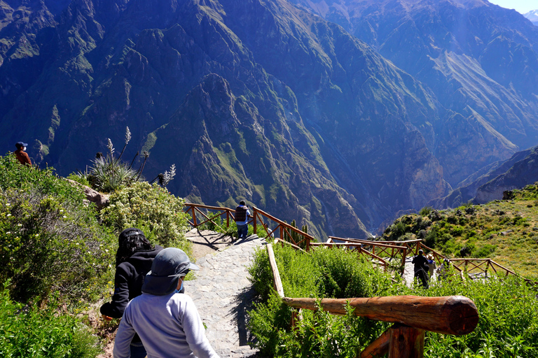 Excursión de un día al Cañón del Colca desde Arequipa con final en Puno