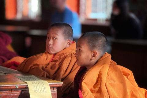 Pokhara: Halbtägige Sarangkot-Sonnenaufgangs- und tibetische KulturtourPokhara: Halbtägige Sarangkot-Sonnenaufgangs- &amp; tibetische Kulturtour