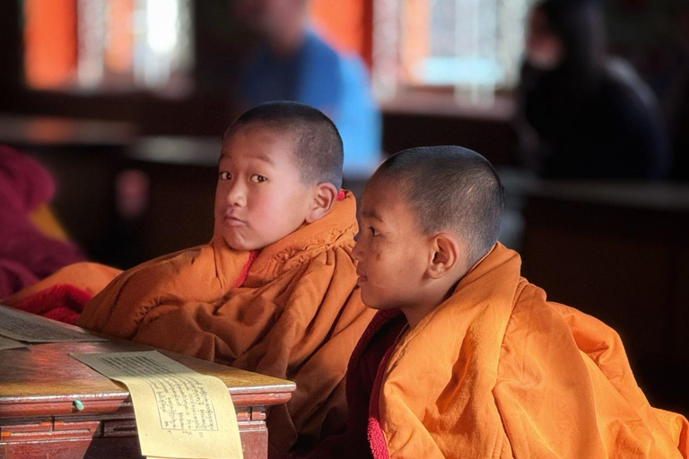 Pokhara: Halbtägige Sarangkot-Sonnenaufgangs- und tibetische KulturtourPokhara: Halbtägige Sarangkot-Sonnenaufgangs- &amp; tibetische Kulturtour