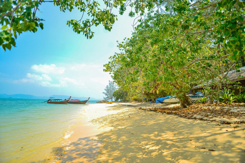 Ko Lanta: Full-Day Mangrove and Sea Cave Kayaking Experience Full Day Sea Cave Kayaking