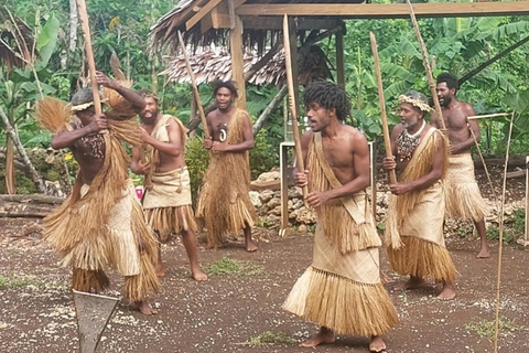 Port Vila: Efate Island Full-Day Tour with BBQ Lunch