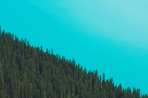 Private Tour: Lake Louise, Moraine, Peyto & Johnston Canyon