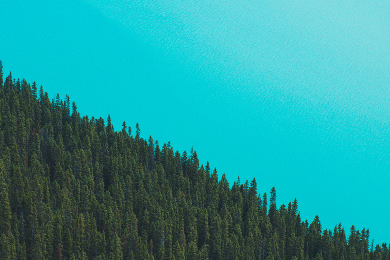 Private Tour: Lake Louise, Moraine, Peyto & Johnston Canyon
