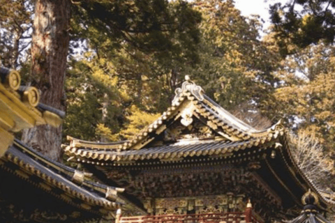 Von Tokio aus: Nikko Private Tour im luxuriösen Prado Niedrigster Preis