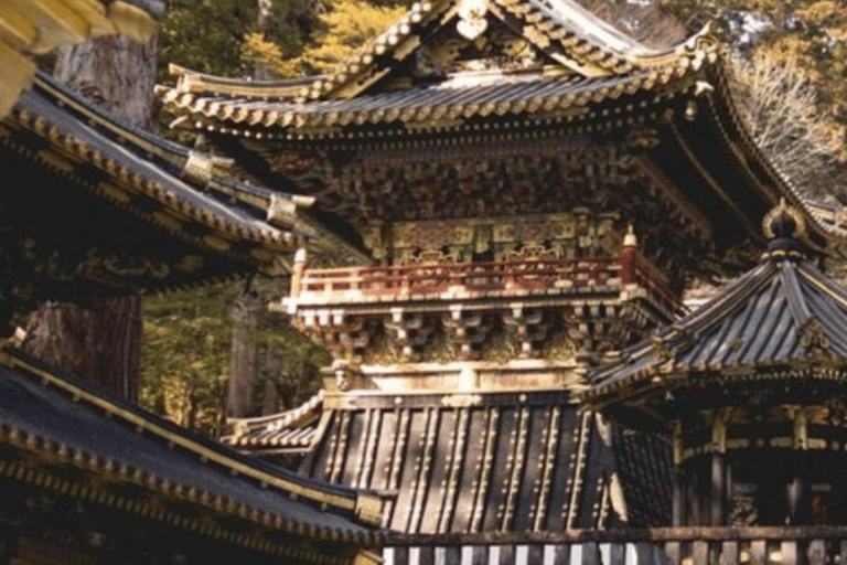 De Tóquio: Nikko Tour Particular em Prado de Luxo Preço mais baixo