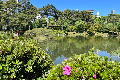 Hiroshima & Miyajima Satisfying Private Gem Tour w/ Local 7h