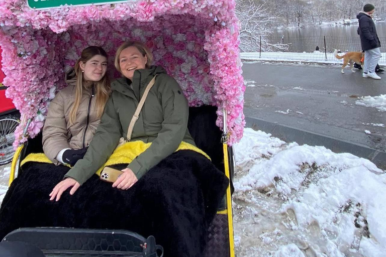 NYC: Central Park hoogtepunten fietstaxitour