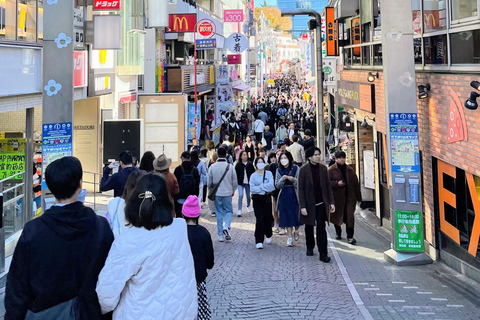 Tokyo en 4 heures (Meiji Jingu, Harajuku, Shibuya, Shijuku)