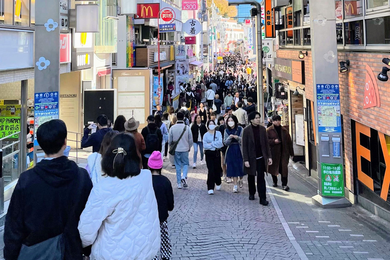 Tokio in 4 Stunden (Meiji Jingu, Harajuku, Shibuya, Shijuku)