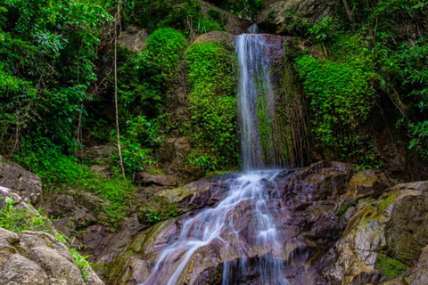 Ko Samui: Tree Bridge Jungle Zipline and Waterfall Adventure Tour Starting at 11.30 w/ Extended Pickup and Drop-off Area